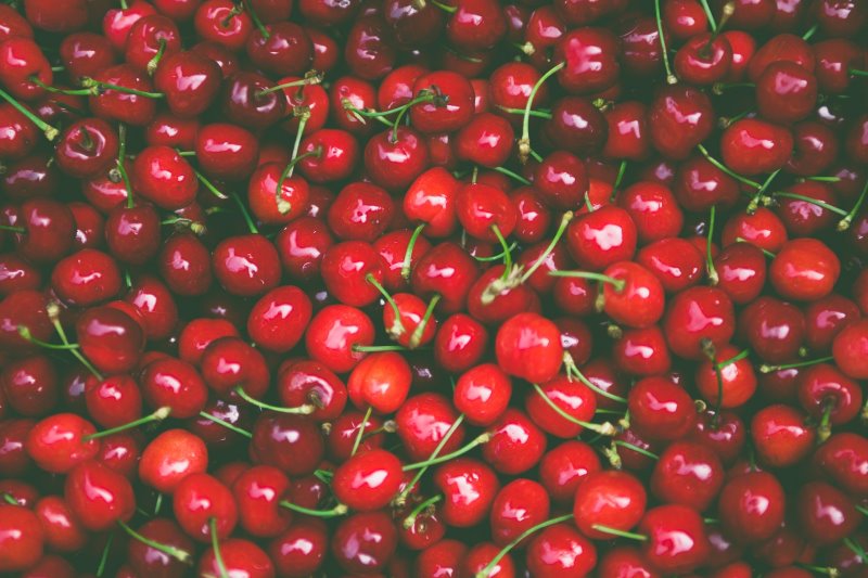 Kirschen sind besonders beliebt und lassen sich schnell im Dampfentsafter in Saft verwandeln. 