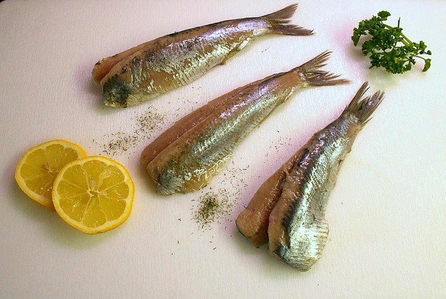 fischpfanne-hering