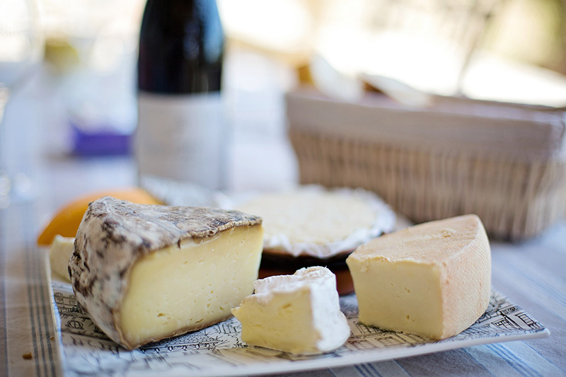 Käse angerichtet auf einem Porzellanteller Käse auf Porzellan